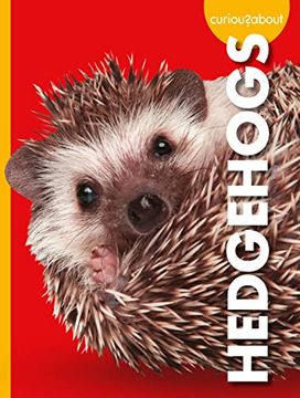 portada Curious About Hedgehogs (Curious About Pets) (en Inglés)