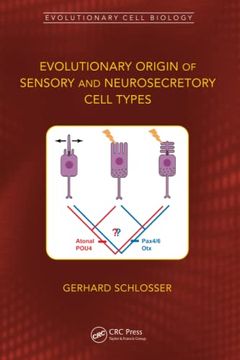 portada Evolutionary Origin of Sensory and Neurosecretory Cell Types: Vertebrate Cranial Placodes, Volume 2 (Evolutionary Cell Biology) (en Inglés)