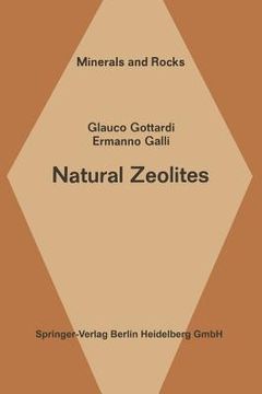 portada Natural Zeolites 