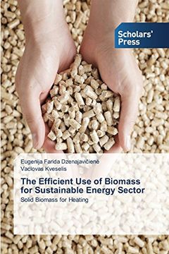 portada The Efficient Use of Biomass for Sustainable Energy Sector
