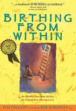 birthing from within,an extra-ordinary guide to childbirth preparation