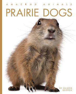 portada Prairie Dogs (Amazing Animals) 