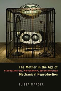 portada The Mother in the age of Mechanical Reproduction: Psychoanalysis, Photography, Deconstruction 