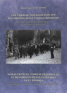 portada Horas Críticas: Cómo se Desarrollo el Moviento Revolucionario en la Frontera del Bidasoa (in Spanish)
