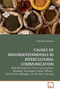 portada causes of misunderstandings in intercultural communication (en Inglés)