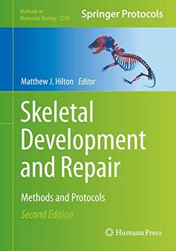 portada Skeletal Development and Repair: Methods and Protocols (Methods in Molecular Biology, 2230) (in English)