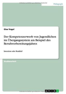 portada Der Kompetenzerwerb von Jugendlichen im Übergangssystem am Beispiel des Berufsvorbereitungsjahres (German Edition)