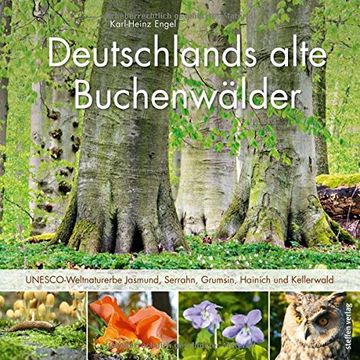 portada Deutschlands Alte Buchenwälder: Unesco-Weltnaturerbe Jasmund, Serrahn, Grumsin, Hainich und Kellerwald (en Alemán)