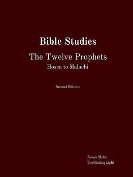portada Bible Studies The Twelve Prophets Hosea to Malachi