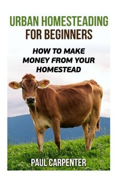 portada Urban Homesteading For Beginners: How To Make Money From Your Homestead (in English)