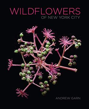 portada Wildflowers of new York City (en Inglés)
