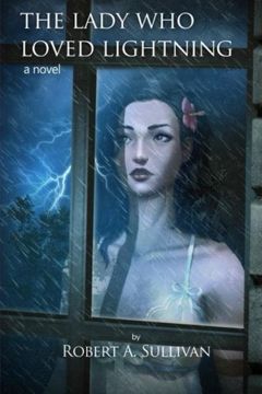 portada The Lady Who Loved Lightning: a novel: Volume 4 (Carolyn & Brandy)