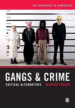 portada Gangs & Crime: Critical Alternatives (Key Approaches to Criminology)
