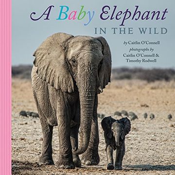 portada A Baby Elephant in the Wild