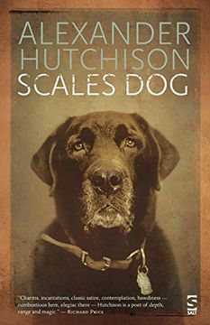 portada Scales Dog: New and Selected Poems (Salt Modern Poets) (en Inglés)