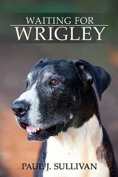 portada Waiting For Wrigley (in English)