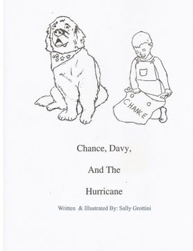 portada Chance, Davy, And The  Hurricane
