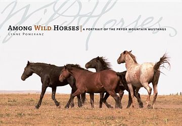 portada Among the Wild Horses: A Portrait of the Pryor Mountain Mustangs (en Inglés)