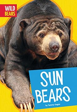 portada Sun Bears (Wild Bears)
