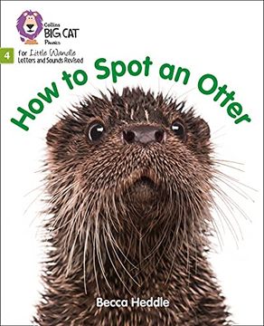 portada Big Cat Phonics for Little Wandle Letters and Sounds Revised - How to Spot an Otter: Phase 4 (en Inglés)