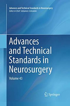 portada Advances and Technical Standards in Neurosurgery, Volume 43 (en Inglés)