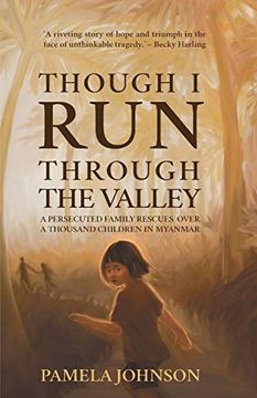 portada Though i run Through the Valley (en Inglés)