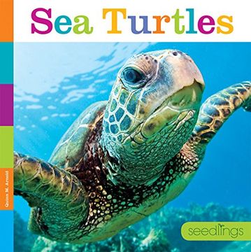 portada Seedlings: Sea Turtles