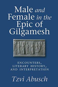 portada Male and Female in the Epic of Gilgamesh: Encounters, Literary History, and Interpretation (en Inglés)