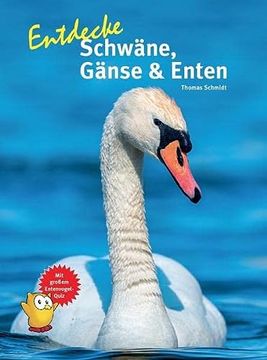 portada Entdecke Schwäne, Gänse & Enten (Entdecke - die Reihe mit der Eule: Kindersachbuchreihe) (en Alemán)