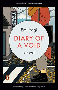 portada Diary of a Void: A Novel (in English)