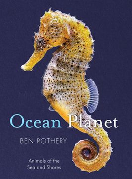 portada Ocean Planet: Animals of the sea and Shore (Rothery'S Animal Planet Series) (en Inglés)