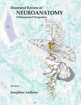 portada Illustrated Review of Neuroanatomy: 3 Dimensional Perspective (en Inglés)