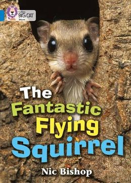 portada fantastic flying squirrel, the - blue / band 4 - y1 / p2