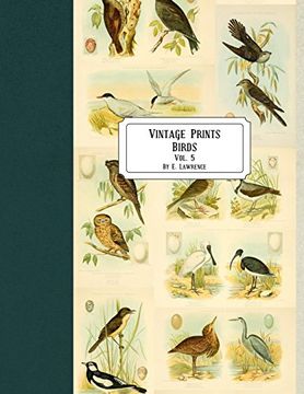 portada Vintage Prints: Birds: Vol. 5 (en Inglés)