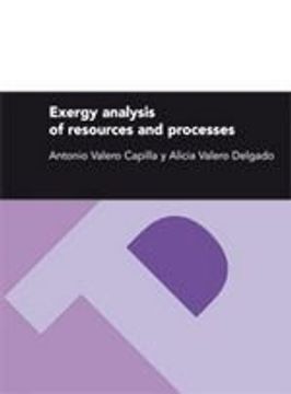 portada exergy analysis of resources and processes