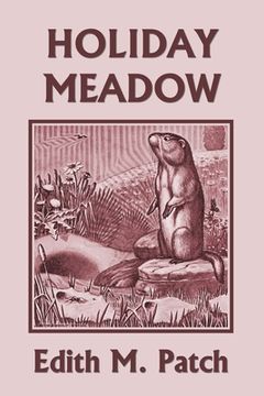 portada Holiday Meadow (Yesterday's Classics) (in English)