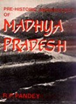portada Prehistoric Archaeology of Madhya Pradesh