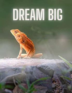 portada Dream big Notebook (en Inglés)