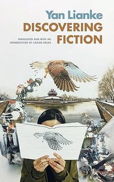 portada Discovering Fiction (Sinotheory) (en Inglés)