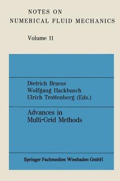 portada Advances in Multi-Grid Methods (en Alemán)