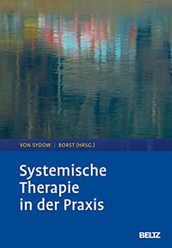 portada Systemische Therapie in der Praxis (en Alemán)