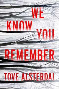 portada We Know You Remember: A Mystery Novel (en Inglés)