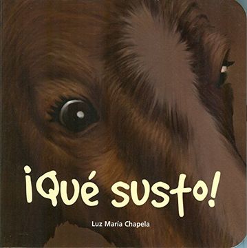 portada ¡Qué susto! (in Spanish)