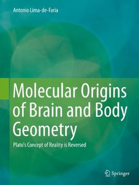 portada Molecular Origins of Brain and Body Geometry: Plato's Concept of Reality is Reversed