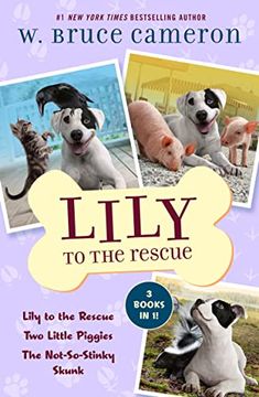 portada Lily to the Rescue Bind-Up Books 1-3 (in English)