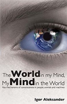 portada World in my Mind, my Mind in the World (en Inglés)