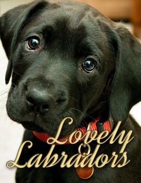 portada Lovely Labradors (Dogs Picture Book - Precious Pooches) (Volume 4)