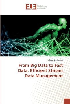 portada From Big Data to Fast Data: Efficient Stream Data Management (en Inglés)