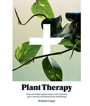 portada Plant Therapy: Why an Indoor Green Oasis can Improve Your Mental and Emotional Wellbeing 