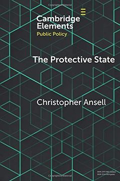 portada The Protective State (Elements in Public Policy) (in English)